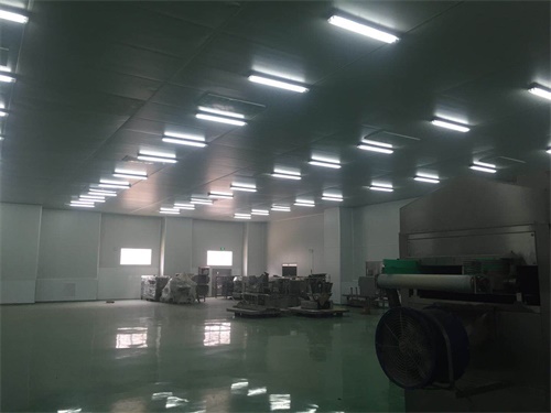 洁净车间案例图2